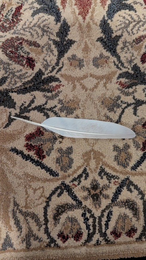 The Feather of Endless Falling